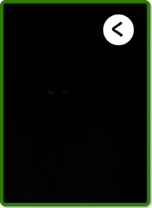 く｜黒猫、見えない。