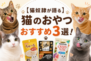 【猫奴隷が語る】猫のおやつおすすめ3選！選び方の注意点と「あげすぎ」を防ぐ究極ガイド