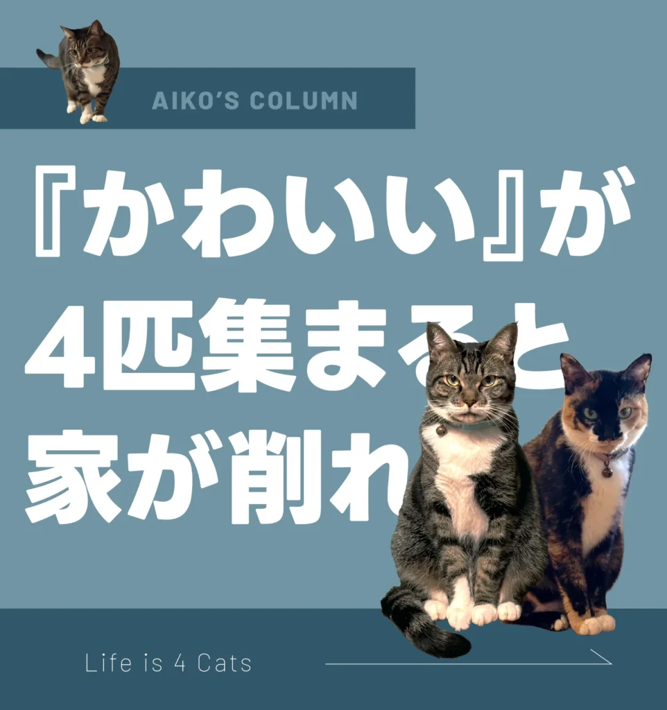 「かわいい」が4匹集まると、家が削れる。