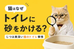 猫はなぜトイレに砂をかける？じつは奥深い猫のトイレ事情