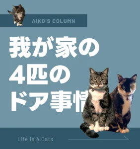 開ける猫、開けない猫、呼ぶ猫。4匹のドア事情
