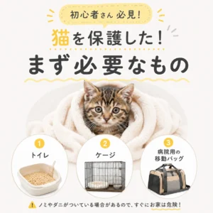 【初めてでも慌てない】野良猫を保護した！まず必要なもの3つ！