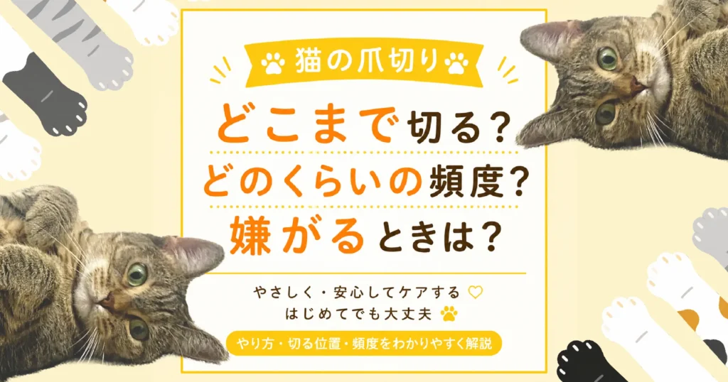 猫の爪切り｜どこまで切る？頻度や嫌がるときはどうする？