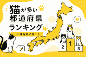 猫が多い都道府県はどこ？飼育頭数ランキングを調べてわかったこと！