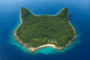 猫好きなら一度は行きたい！日本の猫島5選｜猫に会える島を紹介