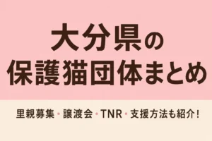 大分県の保護猫団体まとめ｜猫と家族をつなぐ