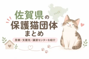 佐賀県の保護猫団体・譲渡情報まとめ｜里親募集・支援先を紹介