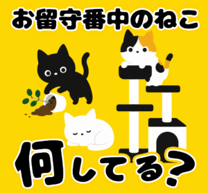 留守番中の猫、何してるのか気になりすぎ問題｜見守りデバイス？！
